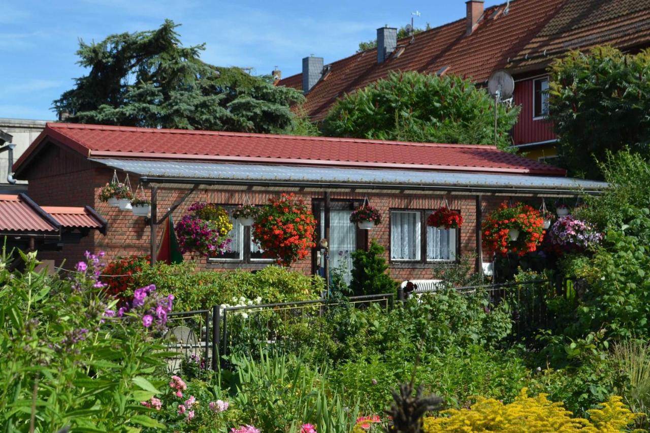 Bungalow Weidling Hasselfelde Zewnętrze zdjęcie